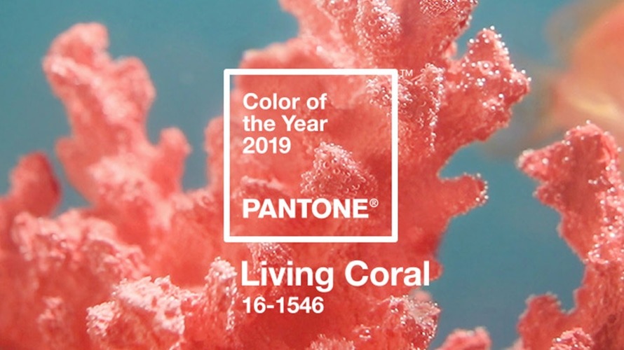 Living coral - pantone colour of the year