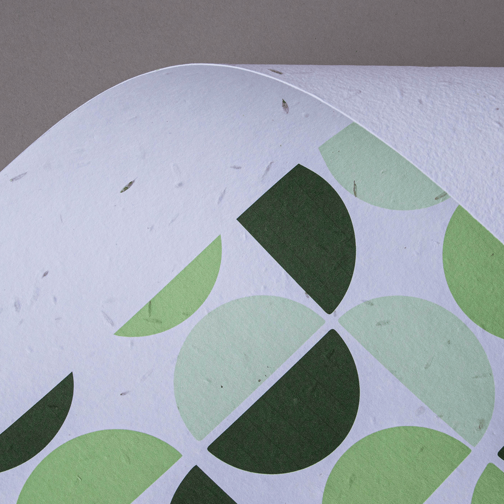 A close up image of Seed Paper.