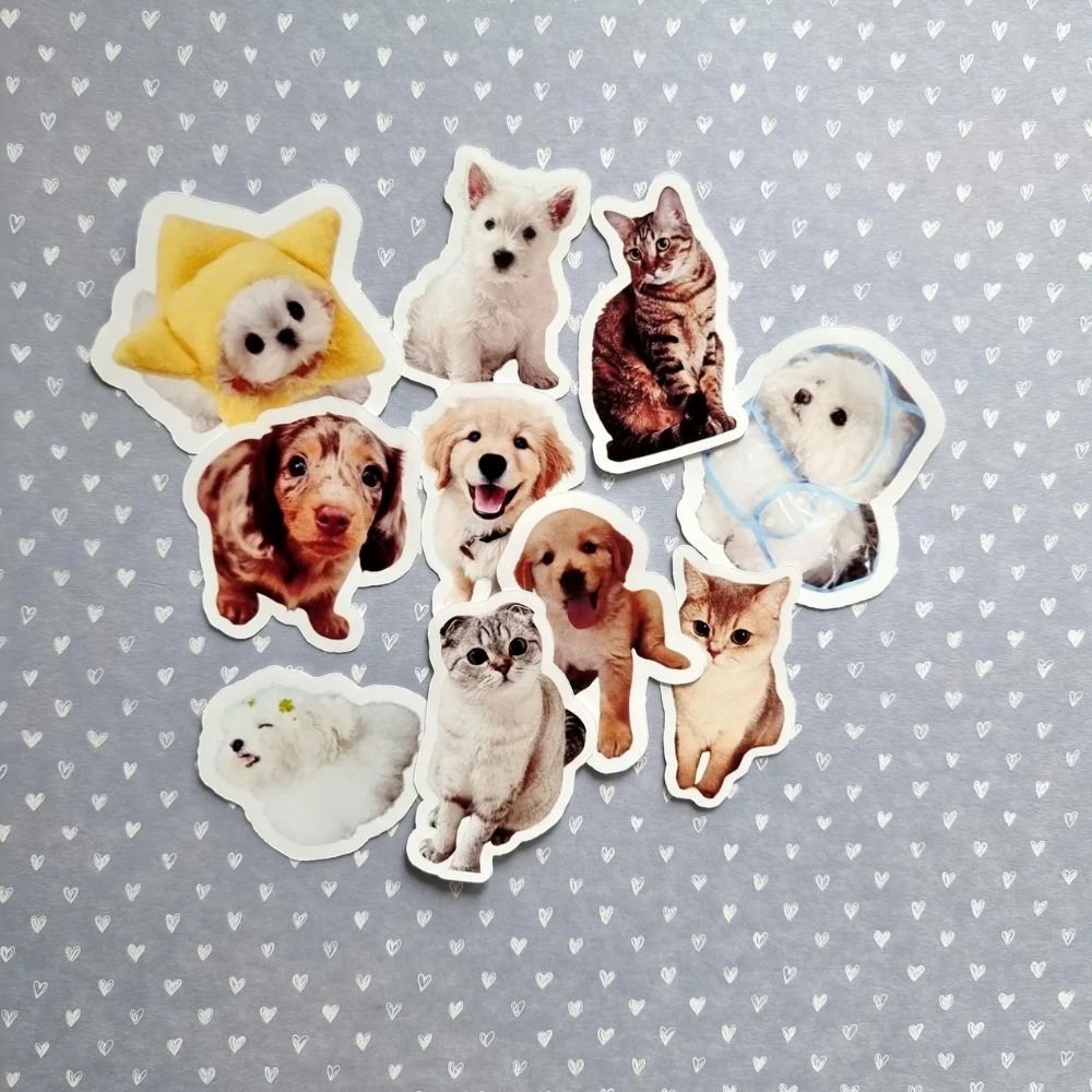 A selection of pet photos that have been made into custom Stickers, including dogs and cats. 