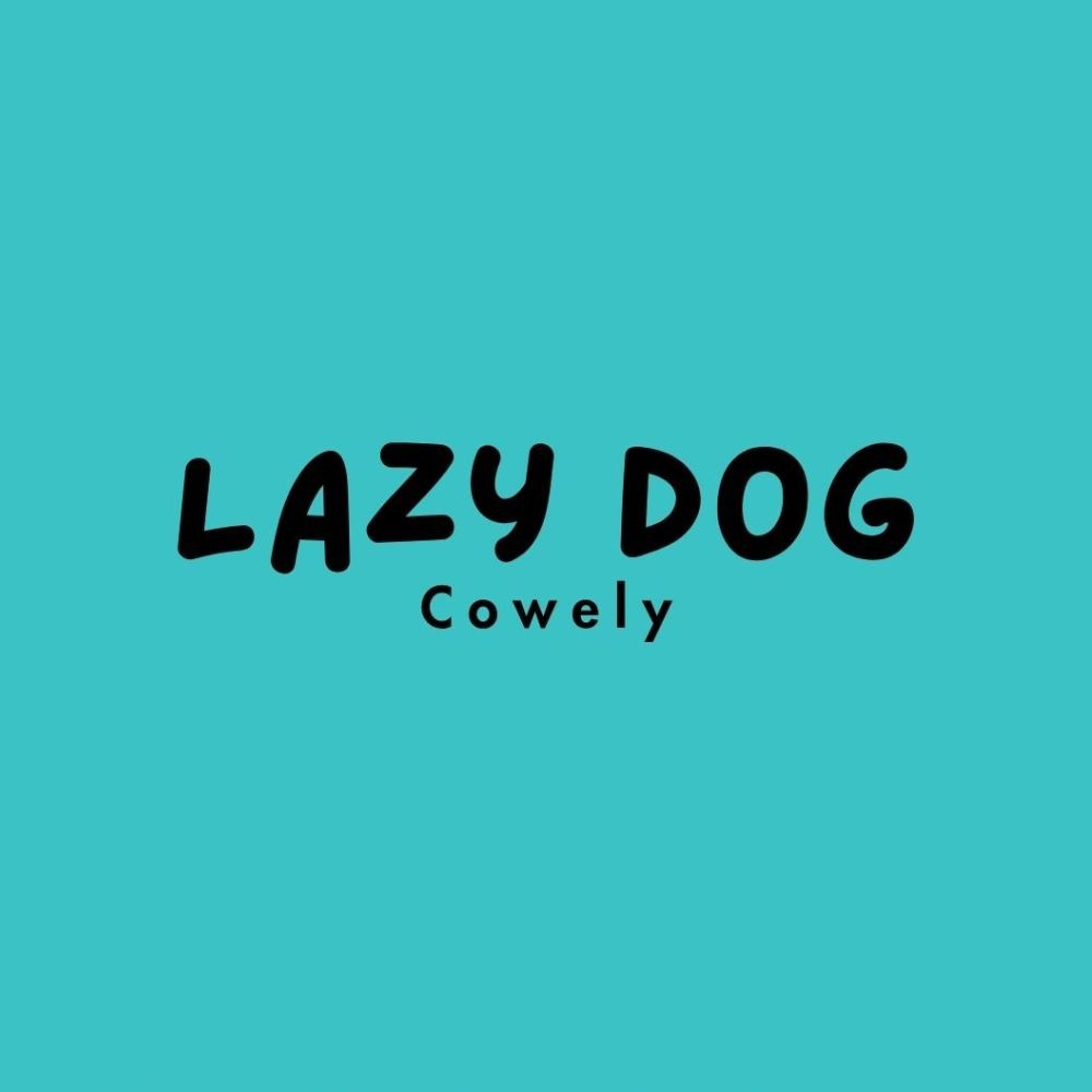 Canva font pairings - Lazy Dog and Cowely