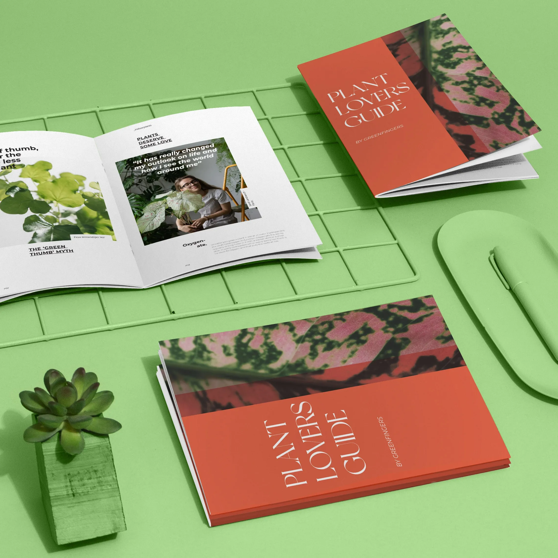 Retail saddle-stitched brochures with clean, minimal layouts